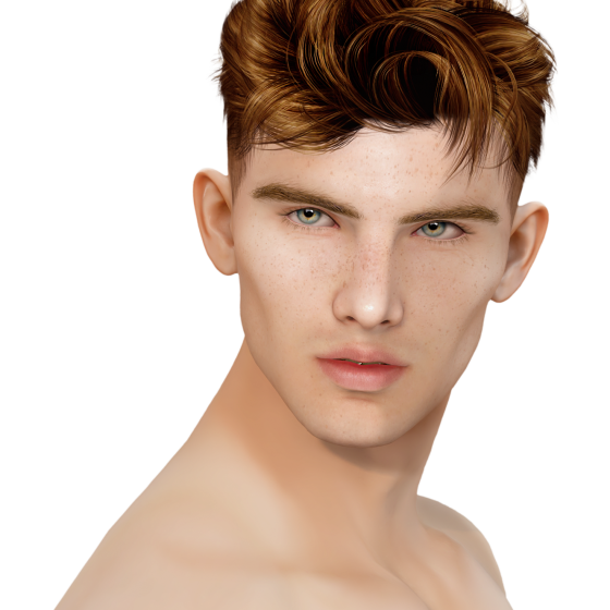 Second Life Marketplace - Flacko - Shape Lorenno Palmer Lelutka